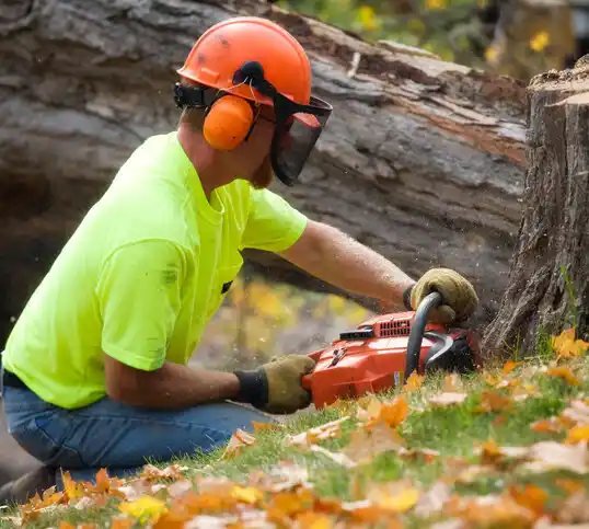 tree services Pelham Manor